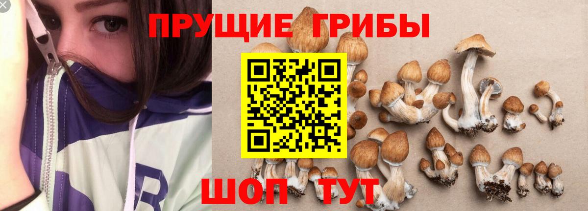 Псилоцибиновые грибы Psilocybine cubensis Ханты-Мансийск
